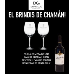 Chaman Gran Rva Malbec Santa Cruz